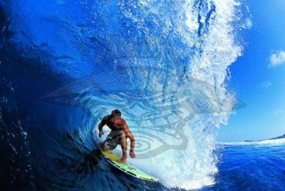 Surf 1
